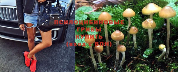 скорость Бронницы