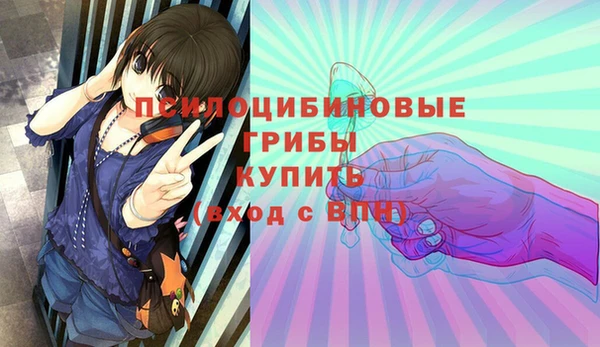 марки nbome Бородино