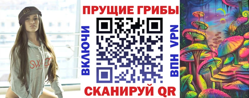 купить наркотик  Ростов-на-Дону  Псилоцибиновые грибы мухоморы 